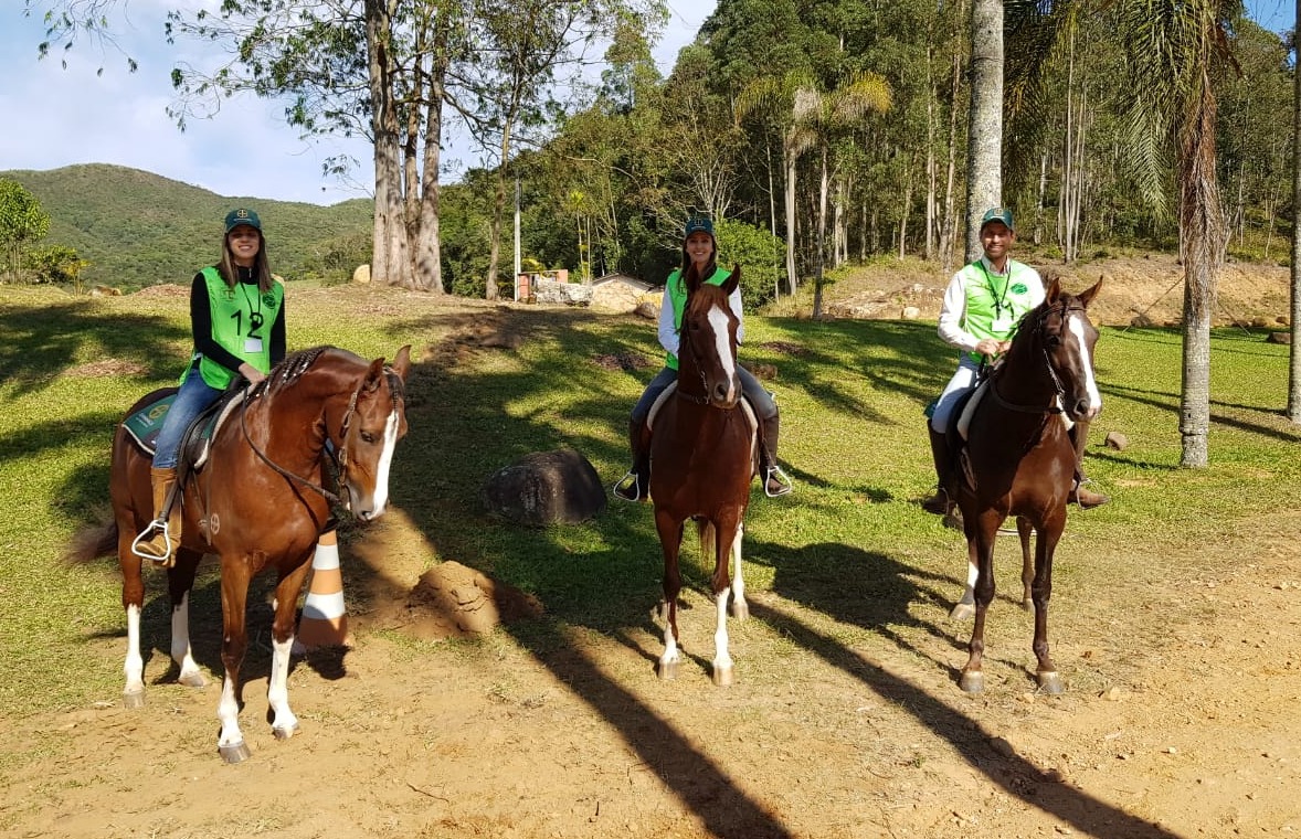 Mangalargada 2019 começa neste sábado 23 de março Lance Rural