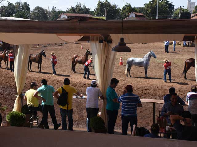 Foto ilustrativa - Autor: Roberto Pinheiro | Divulgação