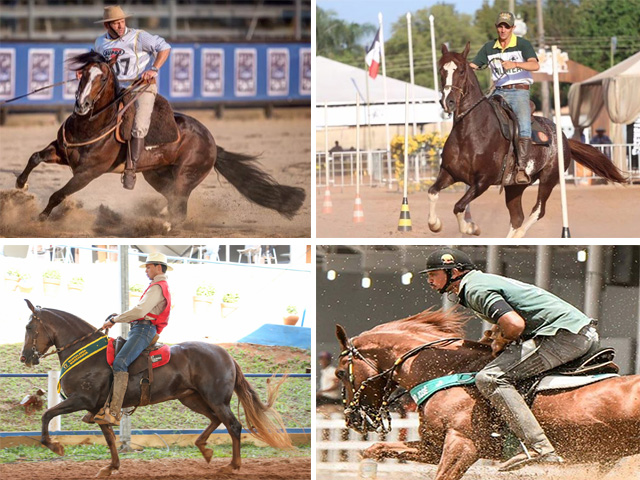 Cavalos: criação movimenta o agronegócio brasileiro