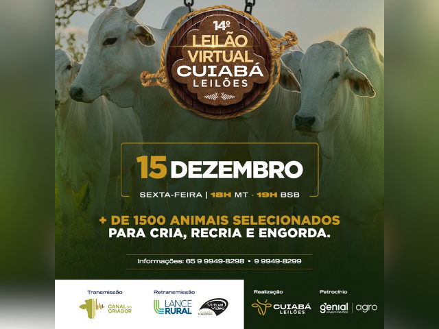 12° Leilão Virtual - Cuiabá Leilões - Canal do Criador