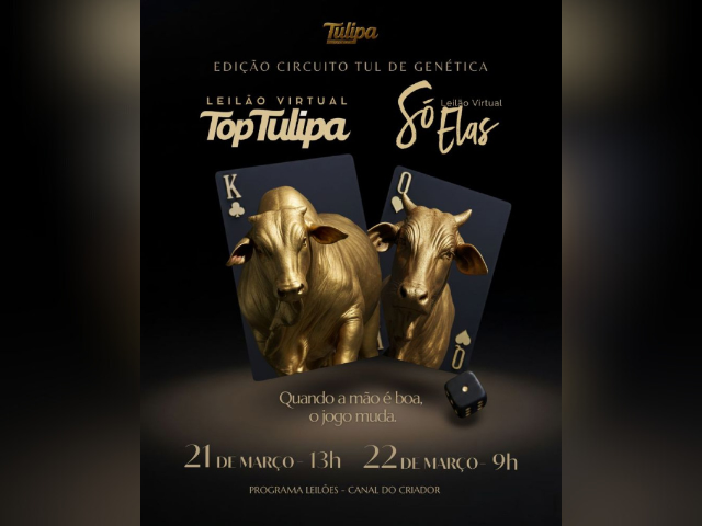 Leilão Virtual Top Tulipa – Edição Circuito Tul de Genética