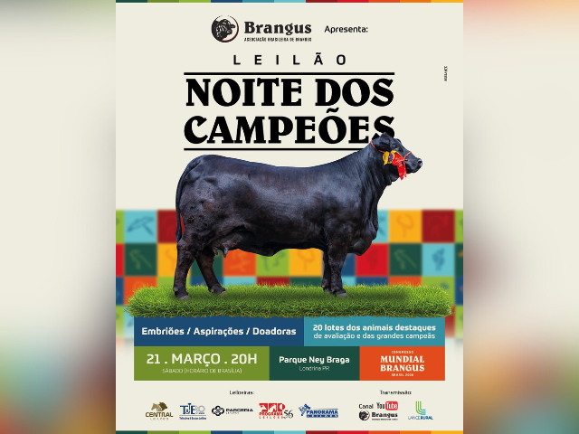 Leilão Noite dos Campeões