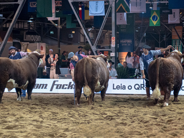 'Imagem de destaque do post: 'Exposição Nacional Hereford e Braford 2026 divulga programação completa em Esteio (RS)