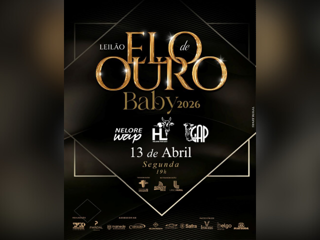 Leilão Elo de Ouro Baby 2026