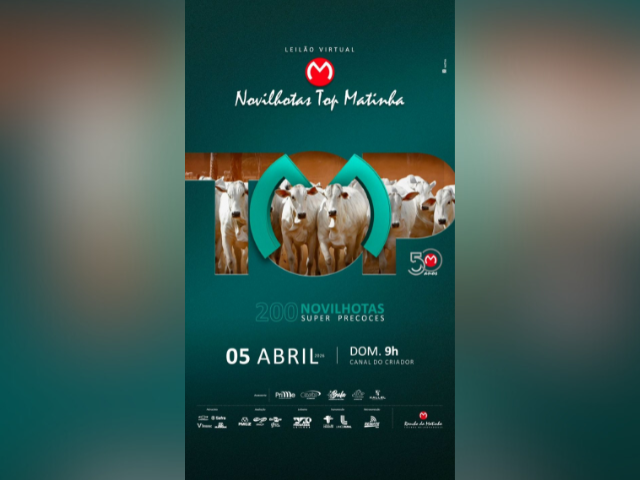 Leilão Virtual Novilhotas Top Matinha