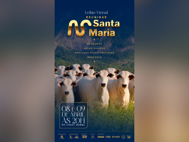 Leilão Virtual Reunidas Santa Maria – 2ª Etapa