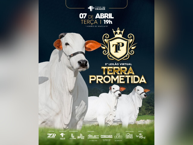 5° Leilão Virtual Terra Prometida